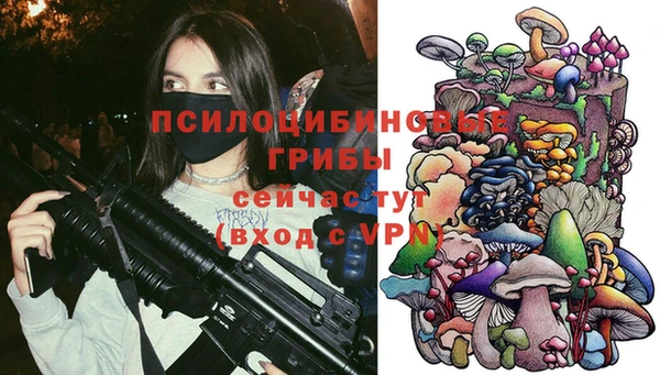 дмт Балабаново