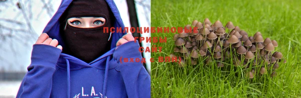 винт Балахна